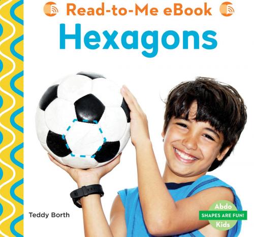 Cover of the book Hexagons by Teddy Borth, ABDO