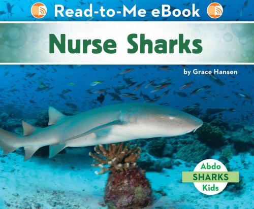 Cover of the book Nurse Sharks by Grace Hansen, ABDO