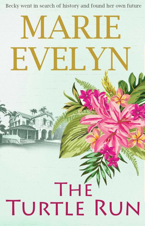 Cover of the book The Turtle Run by Marie Evelyn, Accent Press