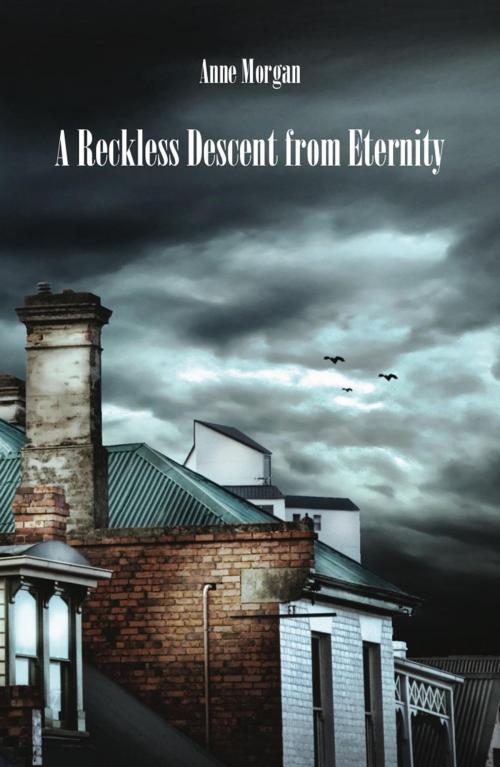 Cover of the book A Reckless Descent from Eternity by Anne Morgan, Ginninderra Press