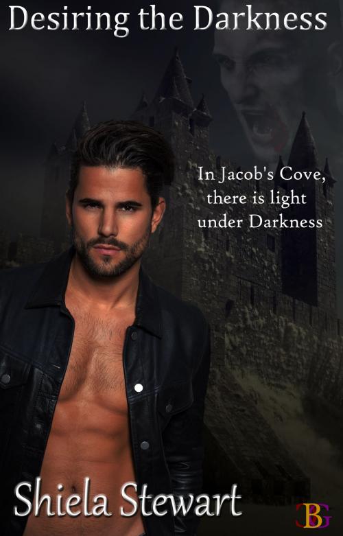 Cover of the book Desiring the Darkness by Shiela Stewart, Champagne Book Group