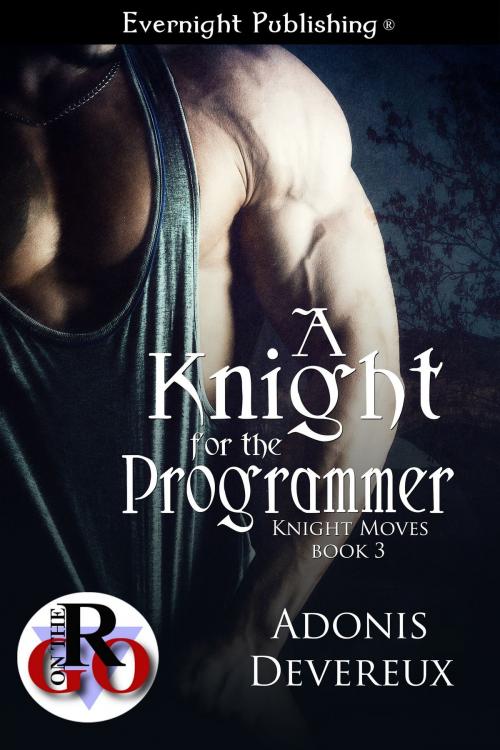 Cover of the book A Knight for the Programmer by Adonis Devereux, Evernight Publishing