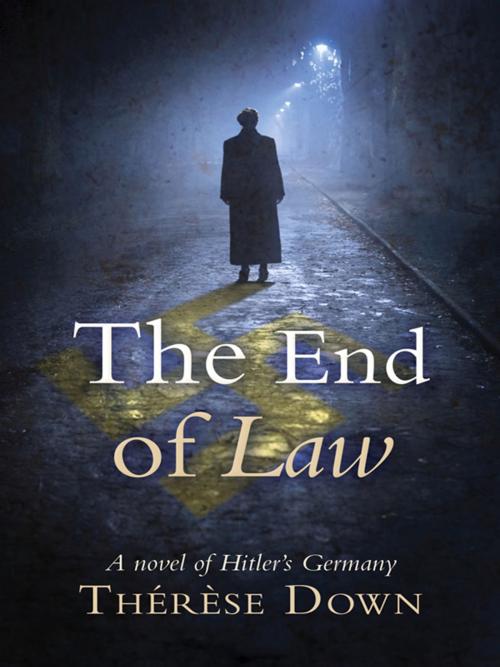Cover of the book The End of Law by Therese Down, Lion Hudson