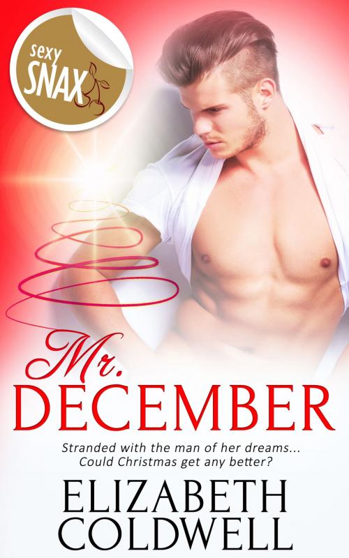 Cover of the book Mr. December by Elizabeth Coldwell, Totally Entwined Group Ltd