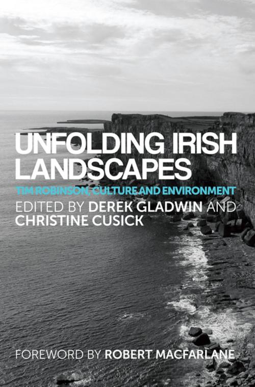 Cover of the book Unfolding Irish landscapes by , Manchester University Press