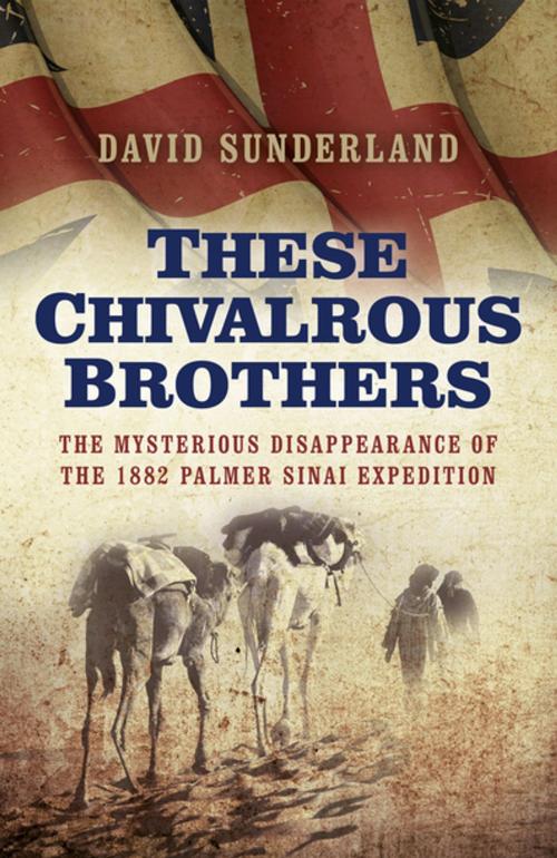 Cover of the book These Chivalrous Brothers by David Sunderland, John Hunt Publishing