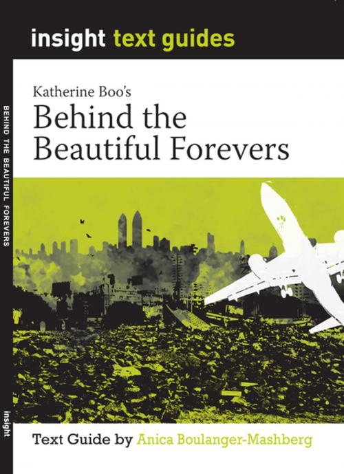 Cover of the book Behind the Beautiful Forevers by Anica Boulanger-Mashberg, Insight Publications