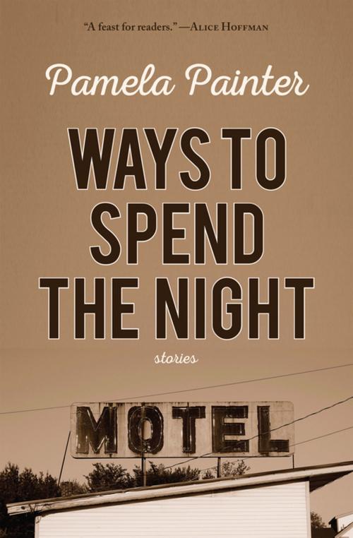 Cover of the book Ways to Spend the Night by Pamela Painter, Engine Books