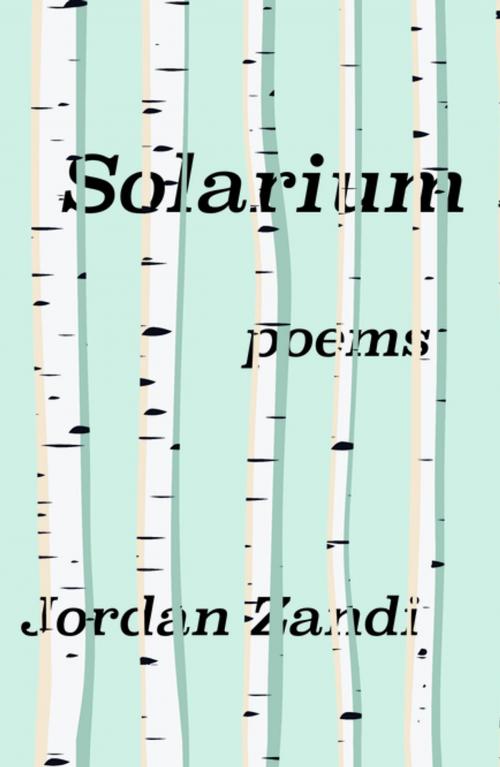Cover of the book Solarium by Jordan Zandi, Sarabande Books