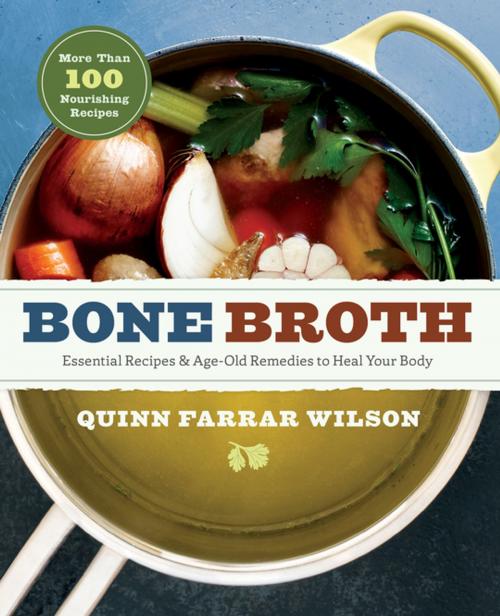 Cover of the book Bone Broth by Quinn Farrar Wilson, Arcas Publishing