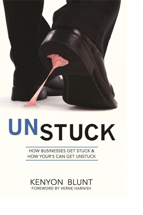 Cover of the book Unstuck by Kenyon Blunt, Yorkshire Publishing