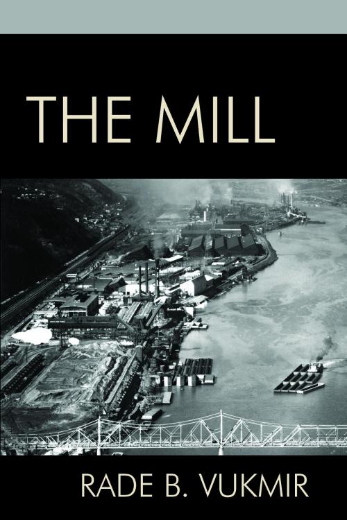 Cover of the book The Mill by Rade B Vukmir, Dichotomy Press