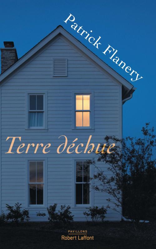 Cover of the book Terre déchue by Patrick FLANERY, Groupe Robert Laffont