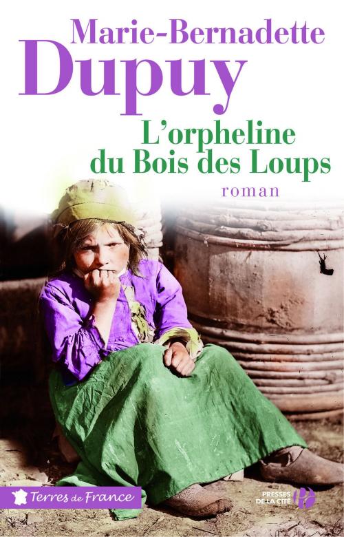 Cover of the book L'orpheline du Bois des Loups by Marie-Bernadette DUPUY, Place des éditeurs