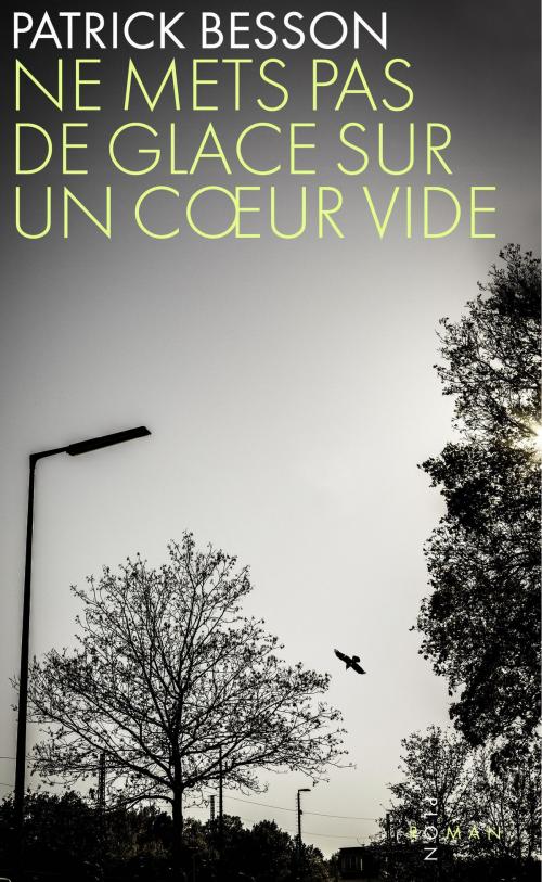 Cover of the book Ne mets pas de glace sur un coeur vide by Patrick BESSON, Place des éditeurs