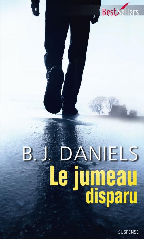 Cover of the book Le jumeau disparu by B.J. Daniels, Harlequin