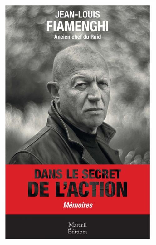 Cover of the book Dans le secret de l'action by Jean-Louis Fiamenghi, Mareuil Éditions