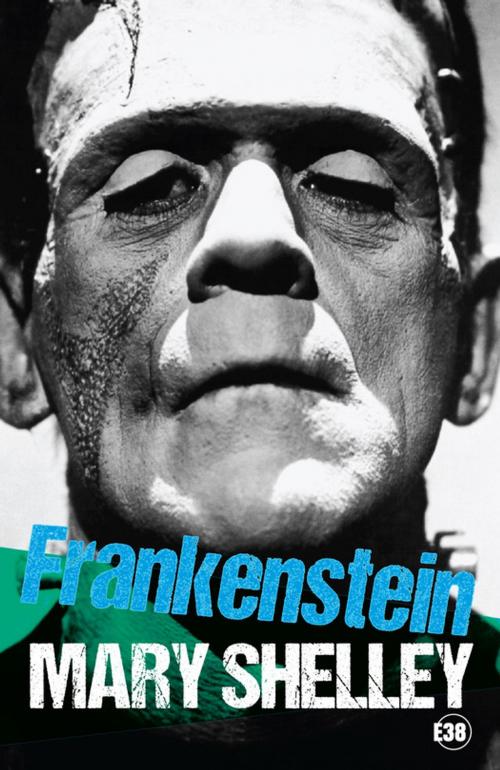 Cover of the book Frankenstein by Mary Shelley, Les éditions du 38