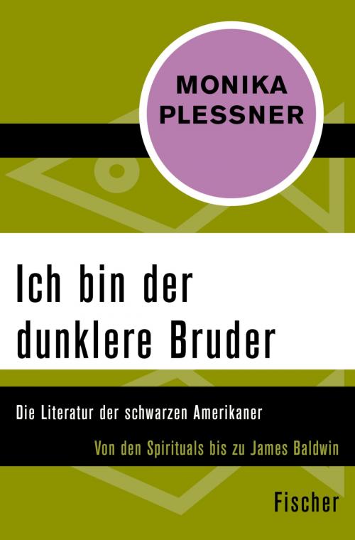 Cover of the book Ich bin der dunklere Bruder by Monika Plessner, FISCHER Digital