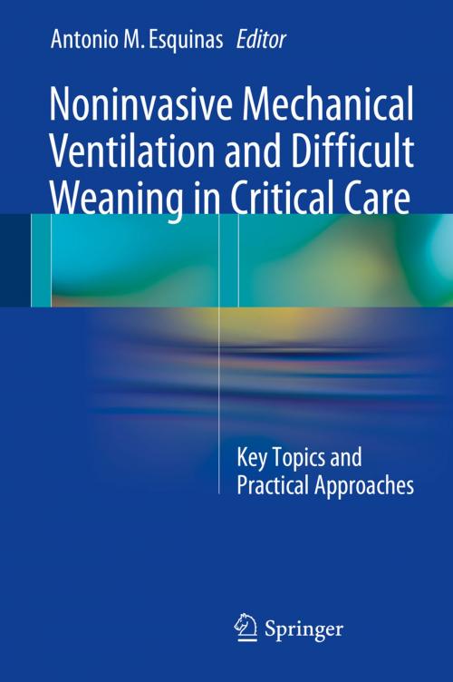 Cover of the book Noninvasive Mechanical Ventilation and Difficult Weaning in Critical Care by , Springer International Publishing