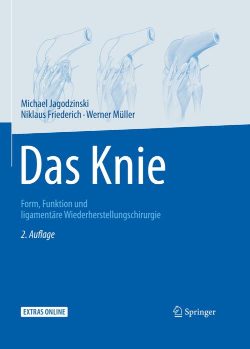 Cover of the book Das Knie by MIchael Jagodzinski, Niklaus Friederich, Werner Müller, Springer Berlin Heidelberg