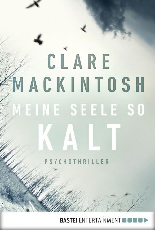 Cover of the book Meine Seele so kalt by Clare Mackintosh, Bastei Entertainment