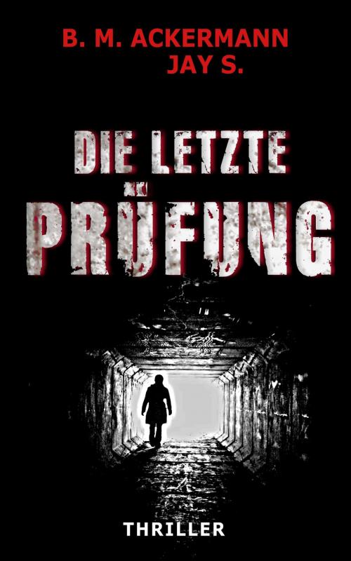 Cover of the book Die letzte Prüfung by B. M. Ackermann, Jay S., neobooks