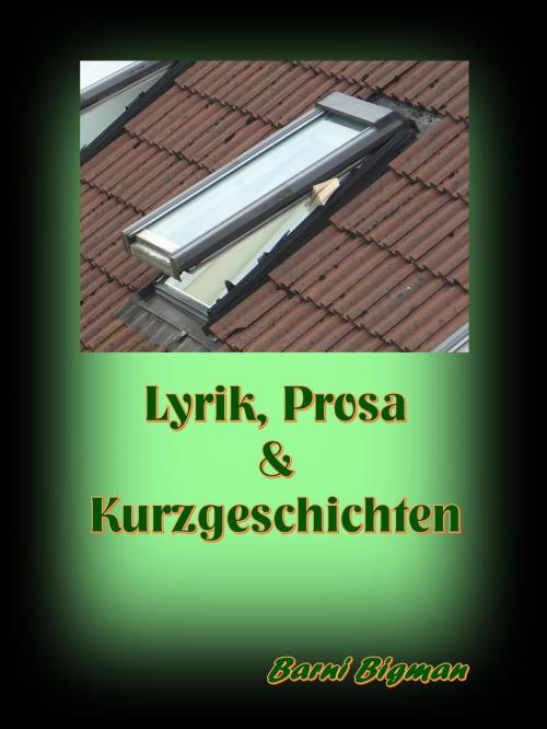 Cover of the book Lyrik, Prosa & Kurzgeschichten by Barni Bigman, neobooks