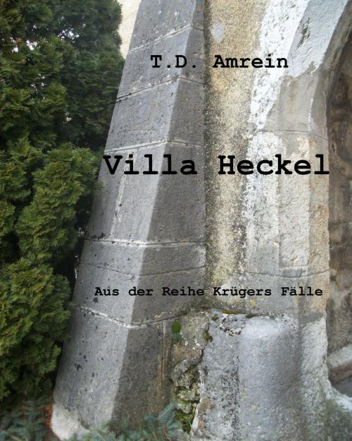 Cover of the book Villa Heckel by T. D. Amrein, neobooks