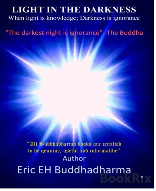 Cover of the book LIGHT IN THE DARKNESS by Eric EH buddhadharma, BookRix