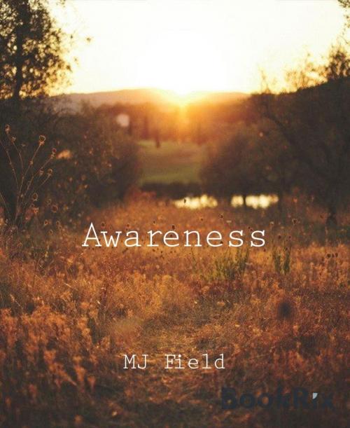 Cover of the book Awareness by MJ Field, BookRix