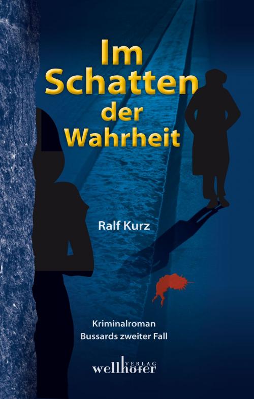 Cover of the book Im Schatten der Wahrheit: Freiburg Krimi. Bussards zweiter Fall by Ralf Kurz, Wellhöfer Verlag