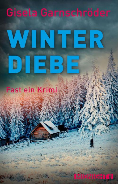 Cover of the book Winterdiebe by Gisela Garnschröder, Midnight