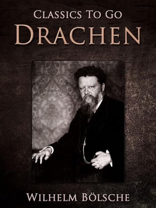 Cover of the book Drachen by Wilhelm Bölsche, Otbebookpublishing