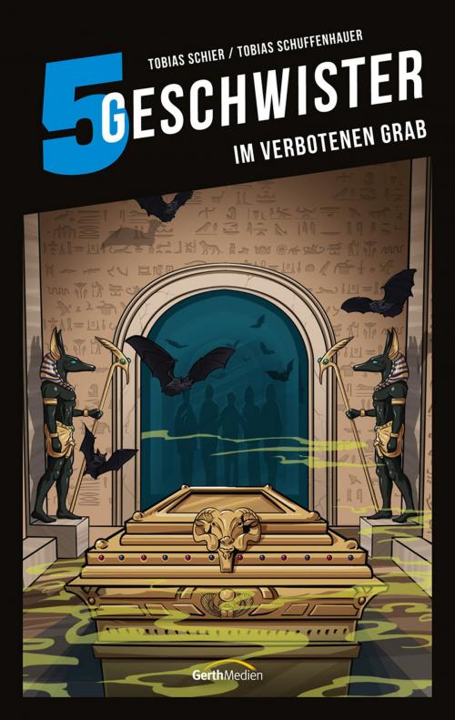 Cover of the book 5 Geschwister: Im verbotenen Grab (Band 12) by Tobias Schuffenhauer, Tobias Schier, Gerth Medien