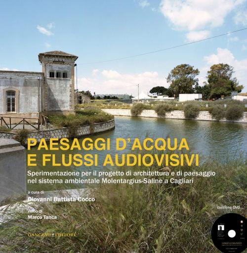 Cover of the book Paesaggi d'acqua e flussi audiovisivi by AA. VV., Gangemi Editore
