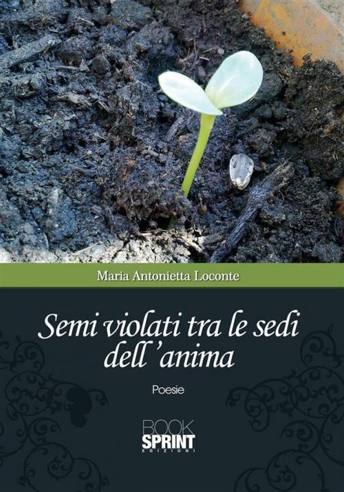 Cover of the book Semi violati tra le sedi dell'anima by Maria Antonietta Loconte, Booksprint