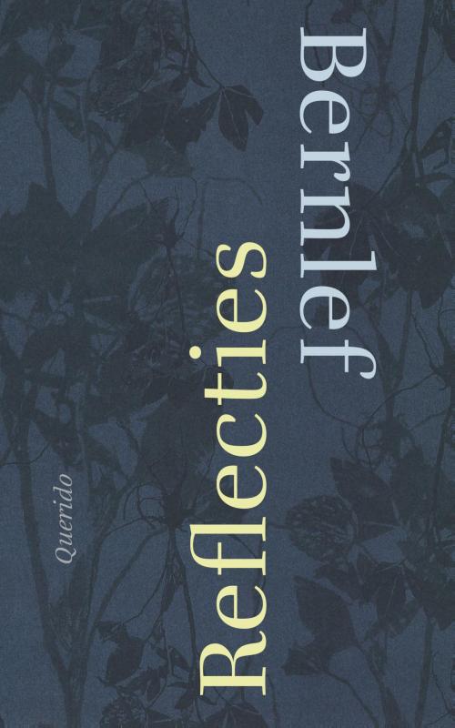 Cover of the book Reflecties by J. Bernlef, Singel Uitgeverijen