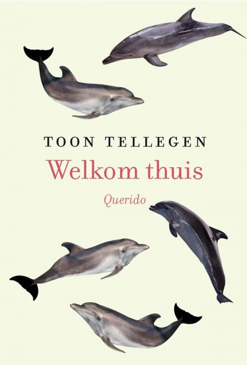 Cover of the book Welkom thuis by Toon Tellegen, Singel Uitgeverijen