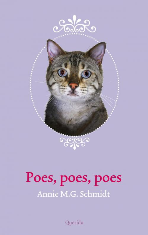 Cover of the book Poes, poes, poes by Annie M.G. Schmidt, Singel Uitgeverijen