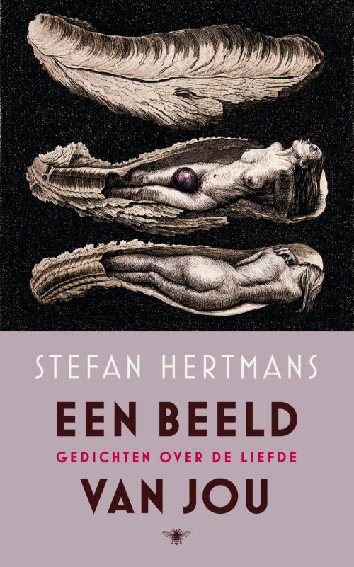 Cover of the book Een beeld van jou by Stefan Hertmans, Bezige Bij b.v., Uitgeverij De