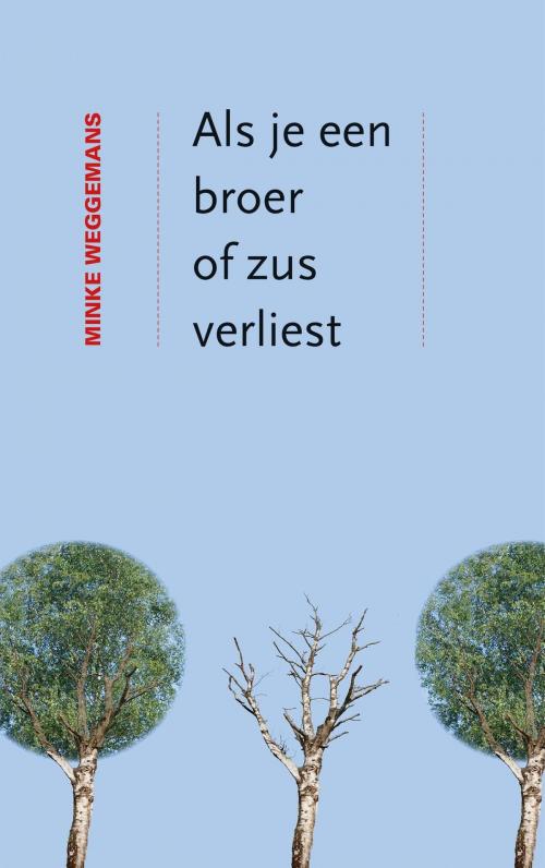 Cover of the book Als je een broer of zus verliest by Minke Weggemans, VBK Media