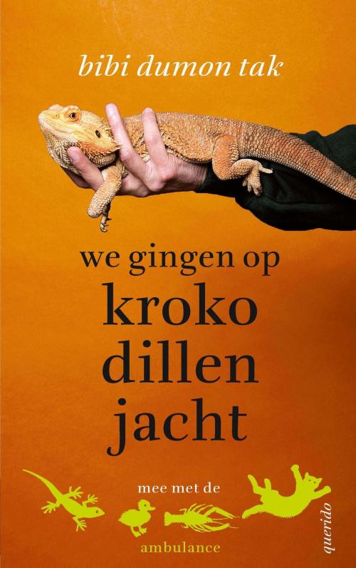 Cover of the book We gingen op krokodillenjacht by Bibi Dumon Tak, Singel Uitgeverijen