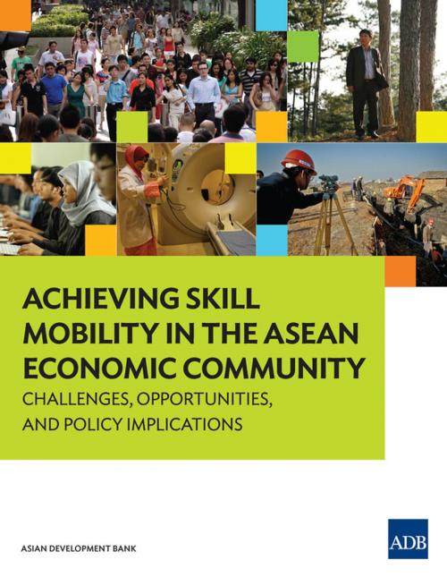 Cover of the book Achieving Skill Mobility in the ASEAN Economic Community by Demetrios G. Papademetriou, Guntur Sugiyarto, Dovelyn Rannveig Mendoza, Brian Salant, Asian Development Bank
