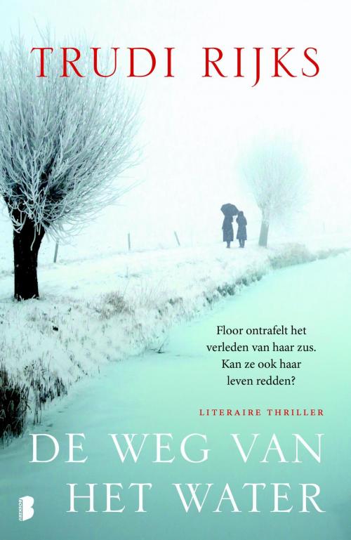 Cover of the book De weg van het water by Trudi Rijks, Meulenhoff Boekerij B.V.
