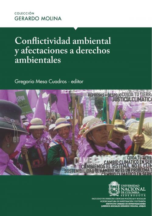 Cover of the book Conflictividad ambiental y afectaciones a derechos ambientales by , Universidad Nacional de Colombia