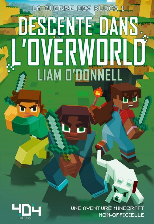 Cover of the book Descente dans l'overworld by Liam O'DONNELL, edi8