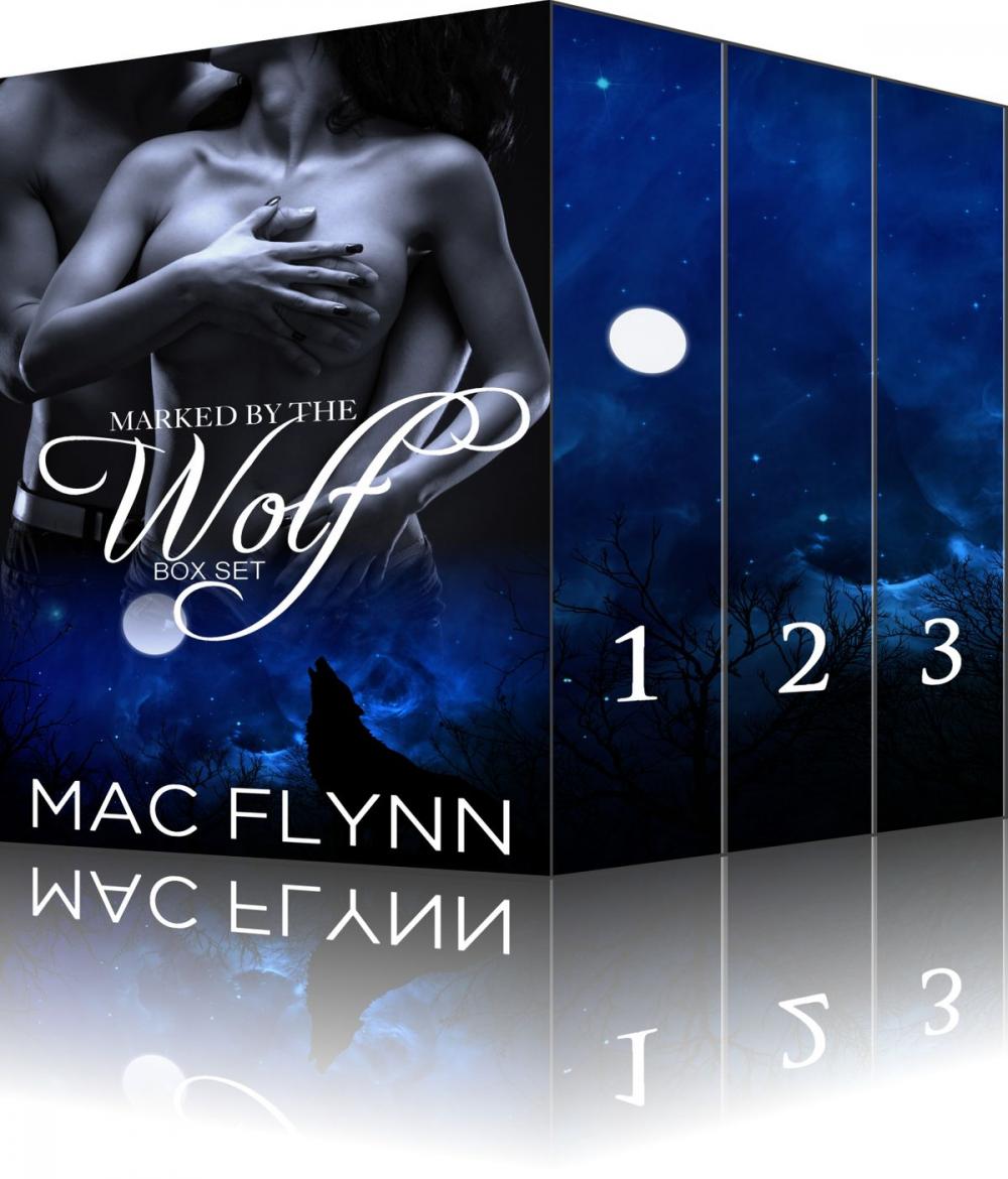 Big bigCover of Marked By the Wolf Box Set
