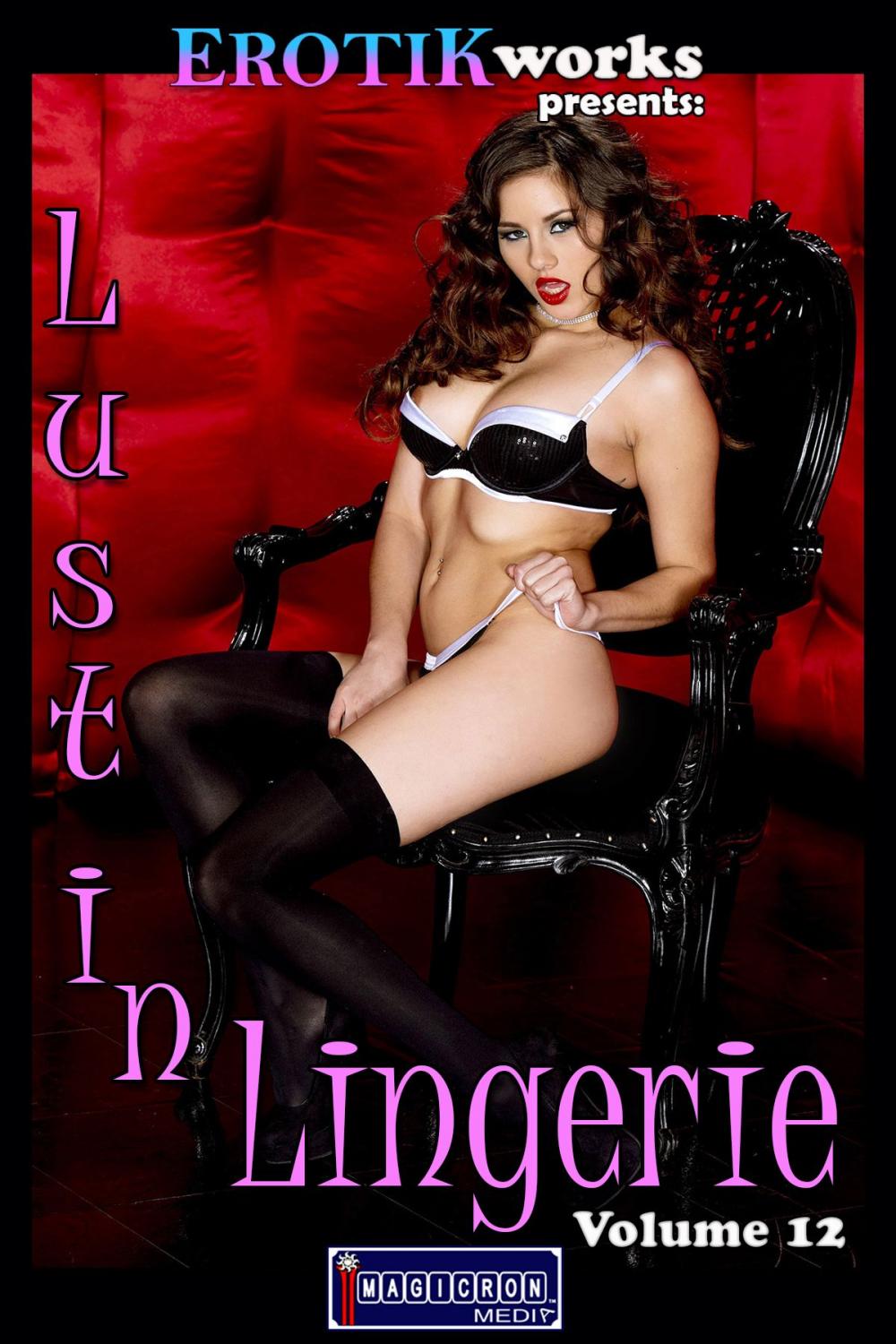 Big bigCover of Lust in Lingerie Vol. 12