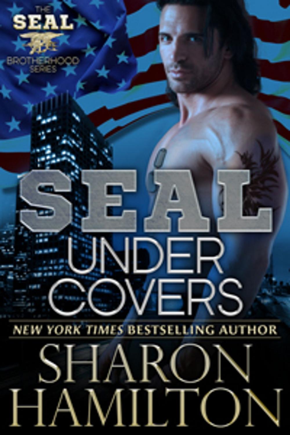 Big bigCover of SEAL Under Covers